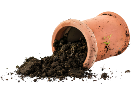 Tilted terracotta pot spilling soil small plant