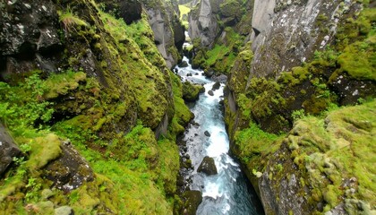 Powerful river flowing through a deep, rugged canyon with lush mossy green walls and abundant vegetation in a pristine wilderness.