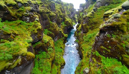 Fototapeta premium Dramatic aerial view of a vibrant turquoise river flowing through a deep, lush green canyon with moss-covered rock walls.