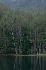 芽吹き始めたカラマツ林に囲まれた早朝の静寂に満ちた御射鹿池