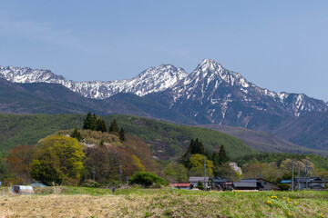 田植えの準備の始まった田園越しに望む残雪の阿弥陀岳と赤岳