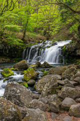 新緑に覆われた蓼科大滝と滝ノ湯川