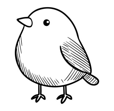 This charming hand-drawn cartoon bird features simple lines and an adorable design, perfect for creative projects, children's books, and playful illustrations.