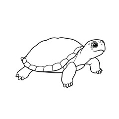 a black and white turtle drawing for coloring book