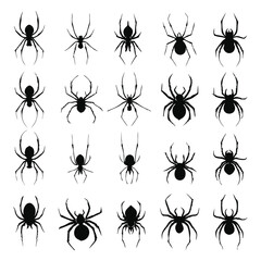 Spider Silhouette Collection – 12 Distinct Arachnid Poses in Vector Form
