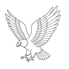 A flying eagle outline on a white background for coloring book