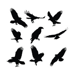 Fototapeta premium Dynamic Bird Silhouettes in Flight – Minimalist Vector Set