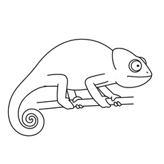 A black and white line drawing of a chameleon on a branch