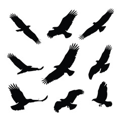 Obraz premium Dynamic Bird Silhouettes in Flight – Minimalist Vector Set