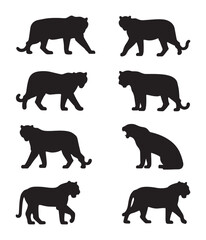 Collection of Tiger Silhouette Designs