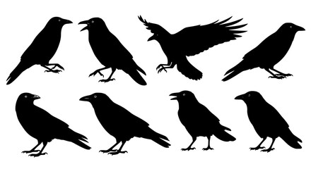 Vector art of collection of crow silhouettes in various poses for POD