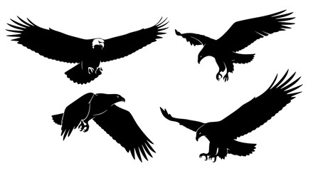 Vector art of silhouette of eagles in different poses for POD