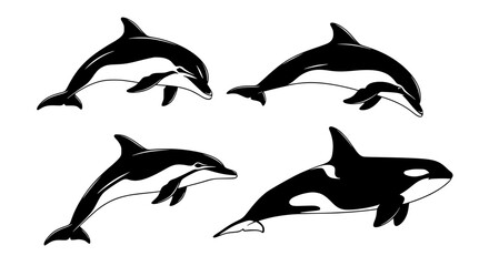 Naklejka premium Vector art of collection of dolphin and orca drawings in black and white for POD