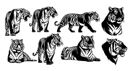 Vector art of collection of tiger silhouettes in different poses for POD