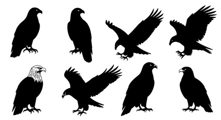 Vector art of collection of eagle silhouettes in various poses for POD