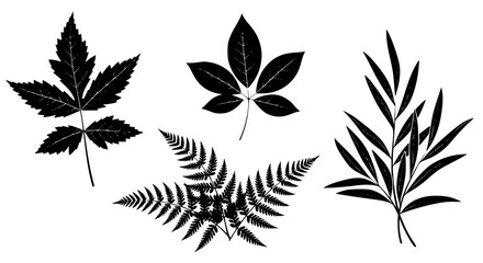 Vector art of set of different leaf silhouettes for design element for POD