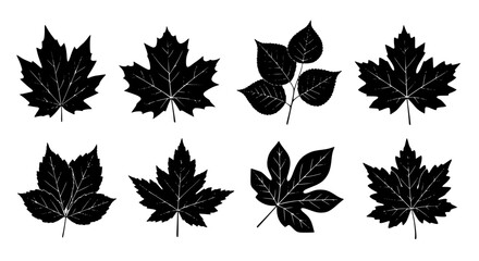 Vector art of collection of different tree leaves silhouette for POD