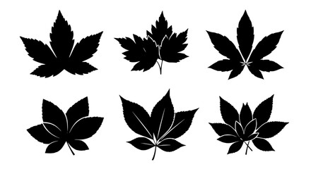 Vector art of collection of various maple leaves silhouettes for design use for POD