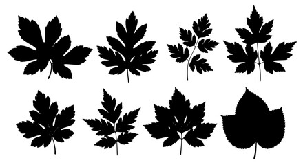 Fototapeta premium Vector art of set of different leaves in black and white style for POD