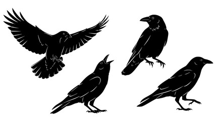 Vector art of set of black crow silhouettes in different poses for POD