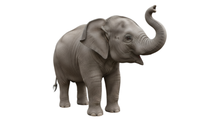 Playful Baby Elephant Isolated Black Background