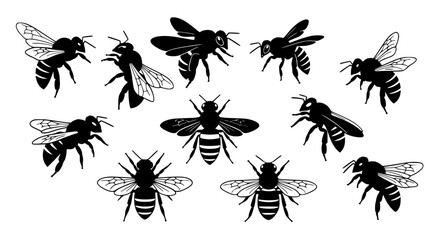 Vector art of collection of bee illustrations in black and white for POD