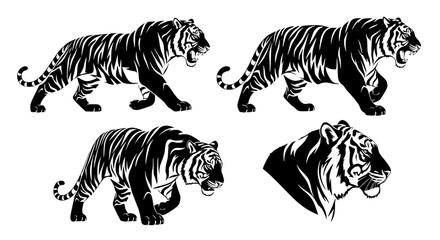 Obraz premium Vector art of tiger silhouettes in different poses for POD