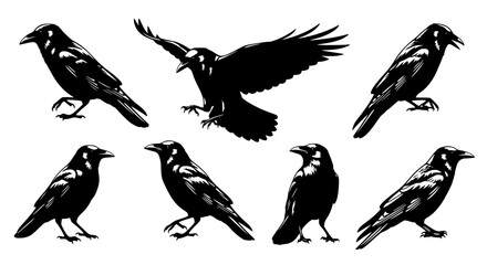 Vector art of silhouette of raven in various poses for POD