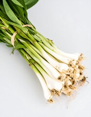 Bunch of fresh green onions
