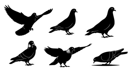 Fototapeta premium Vector art of silhouette illustration of pigeons in different poses for POD