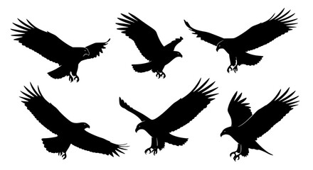 Vector art of silhouette of eagles in flight for POD
