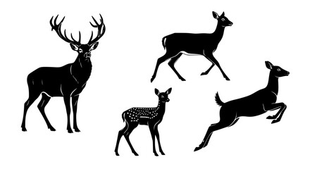Obraz premium Vector art of collection of deer illustrations for design purposes for POD