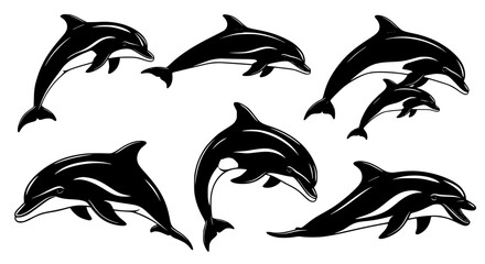 Fototapeta premium Vector art of set of dolphin silhouettes, marine mammal vector art for POD