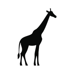 Silhouette of a giraffe standing tall with a long neck and tail black white