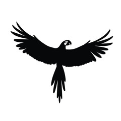 Obraz premium Black silhouette of a parrot with wings spread wide white bird