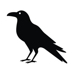 Black silhouette of a raven standing crow bird