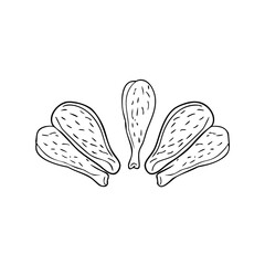 Orange segments arranged in a fan shape fruit citrus