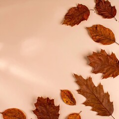 Autumn Leaves Arrangement, Nature, Indoor, Photography, Cozy Environment, Close-Up, Seasonal Beauty