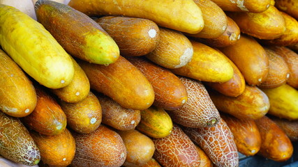 쌓여있는 노각오이