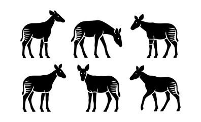 Fototapeta premium Silhouette okapi set: simplistic black animal figures on white background