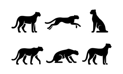 Obraz premium Cheetah silhouettes in various poses on a white background