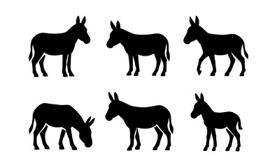 Obraz premium Silhouette collection of donkeys in various poses