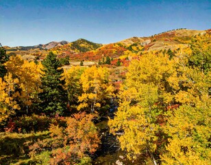 Fototapeta premium Autumn landscape of colorful foliage