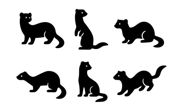 Set of black animal silhouettes: diverse poses of cute ferrets in various positions