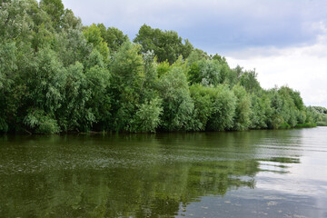 Riverside Trees Reflected in Calm Water