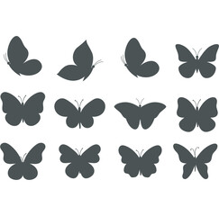 butterfly vectors nature beau...