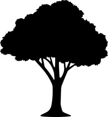 Rooted in Silence: The Tree of Life"
