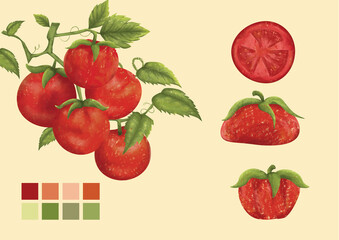 Tomato Set