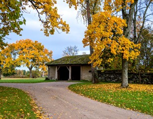 Naklejka premium Autumnal farm scene with golden foliage and rustic barn