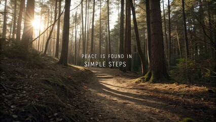 Tranquil nature path through tall trees with sunlight filtering through